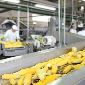 Food processing